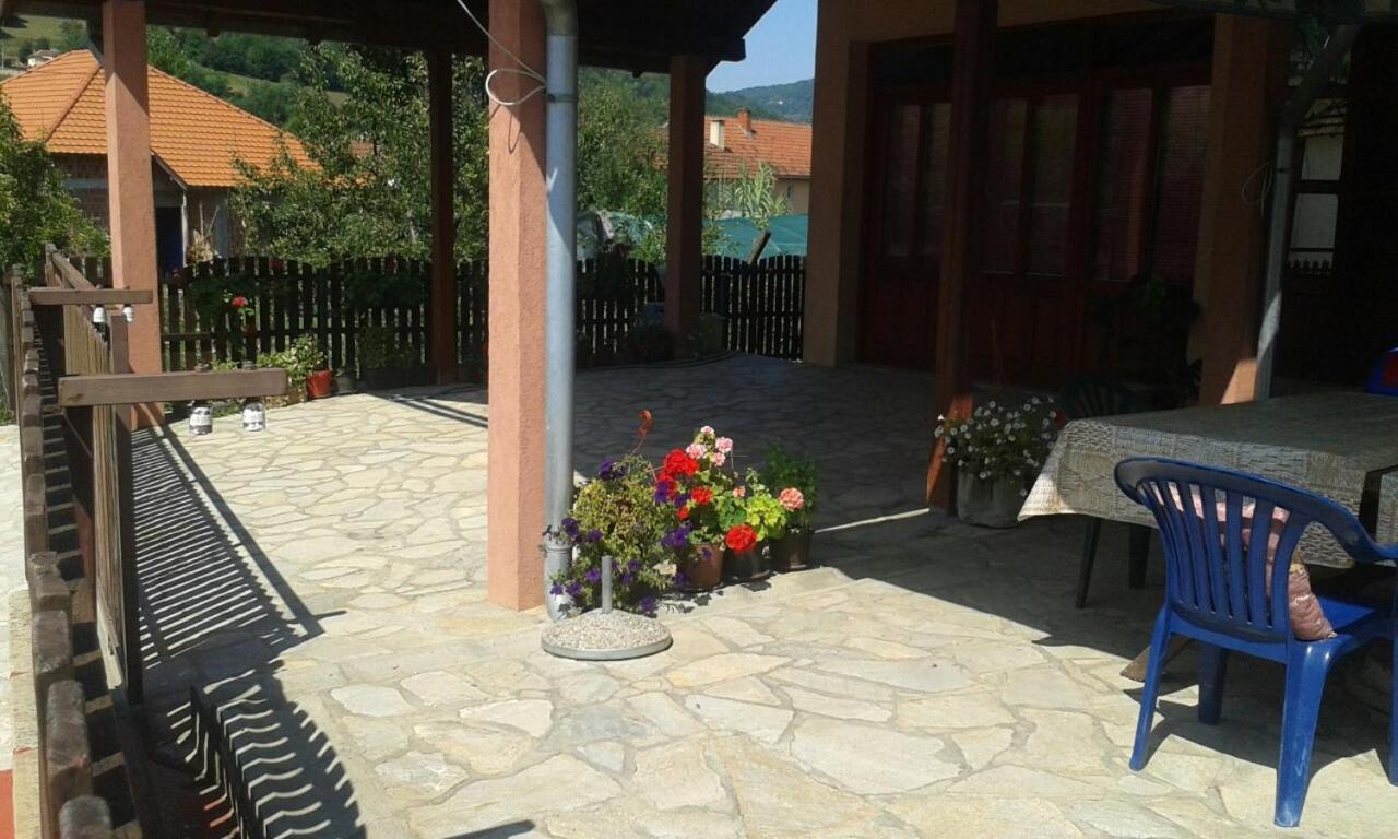 Guesthouse Djukic Guča Extérieur photo
